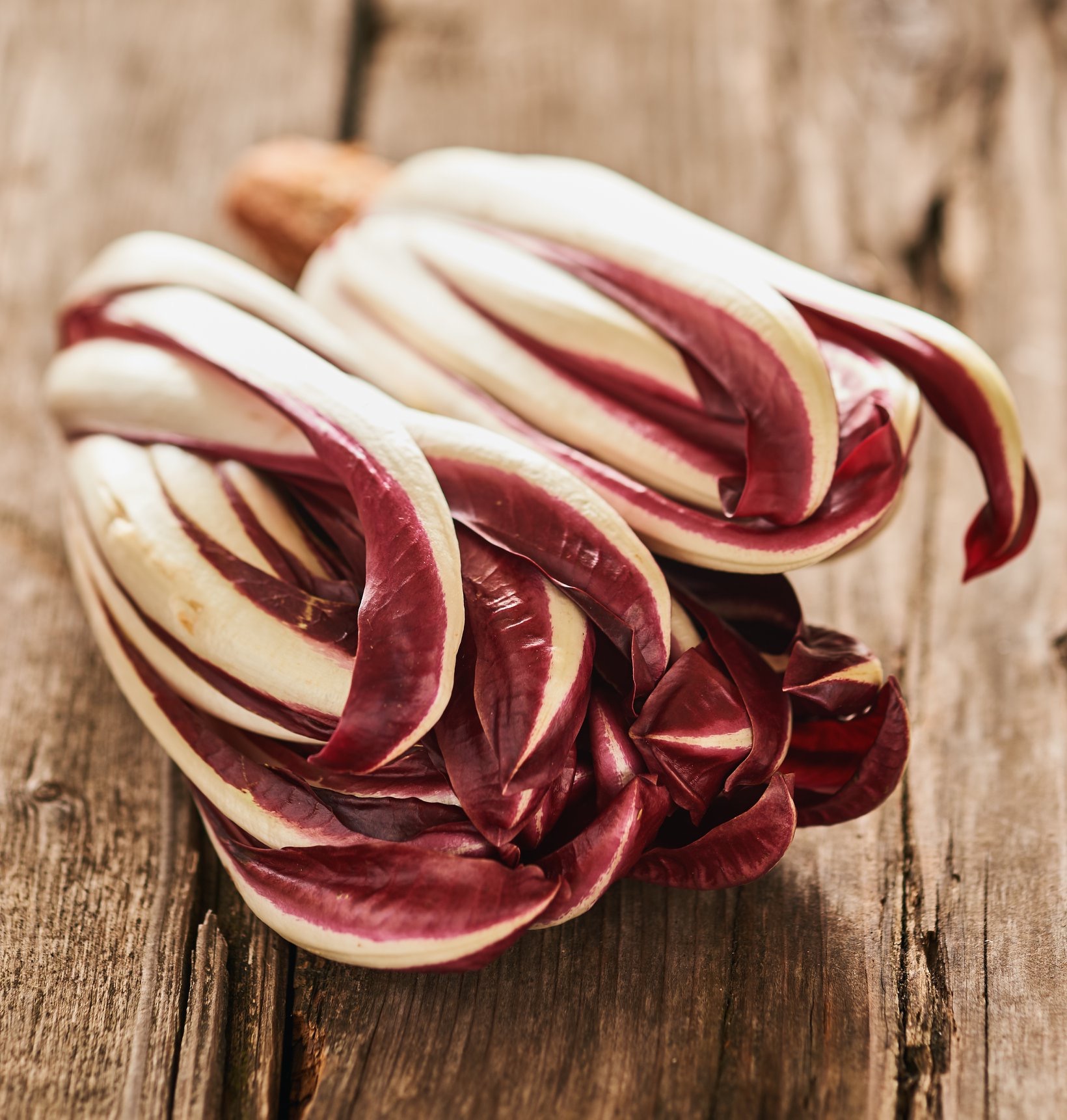 Sua maestà il RADICCHIO di Treviso IGP! 😍🤤